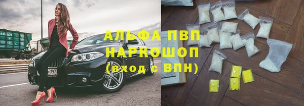 шишки Магас