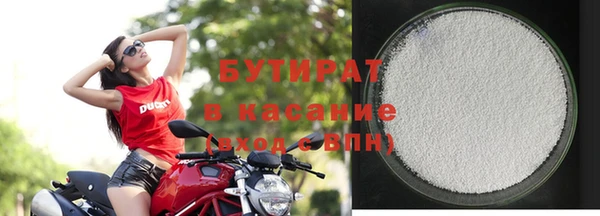 шишки Магас