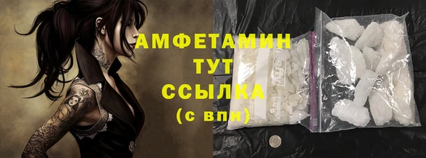 шишки Магас