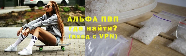 шишки Магас