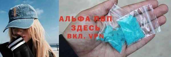 шишки Магас