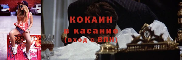 шишки Магас