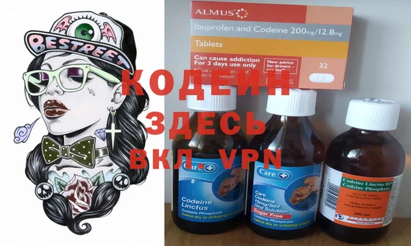 шишки Магас