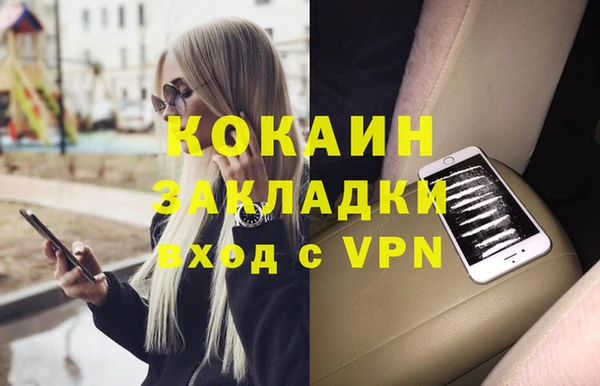 шишки Магас