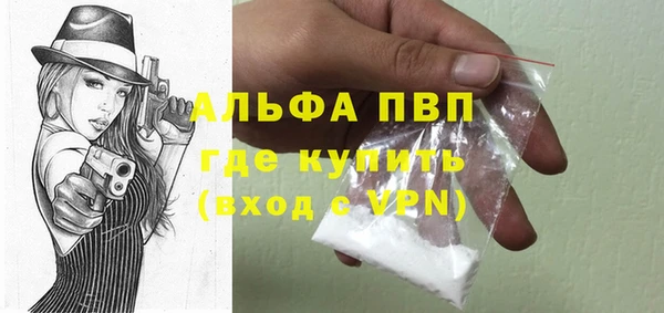 шишки Магас