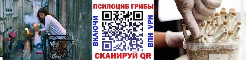 Галлюциногенные грибы ЛСД  Купить где  Шахты 