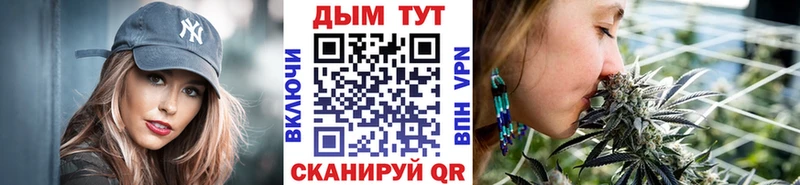Бошки марихуана семена  Купить где  Шахты 